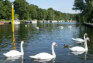 Situated on the shore of Lough Neagh, the <b>Lough Shore Park</b> at Antrim is a popular destination for visitors and residents at all times of the year. It is an area steeped in history and natural beauty with many attractions and activities to enjoy.